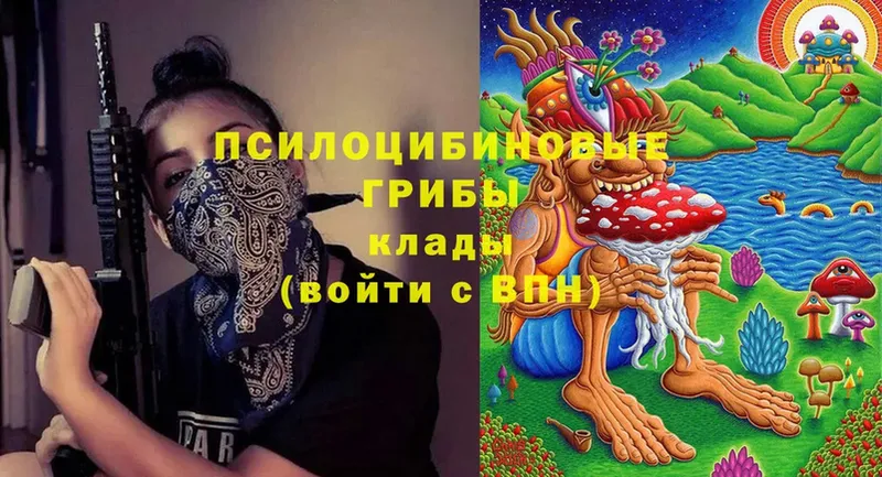 Галлюциногенные грибы Psilocybine cubensis  Серафимович 